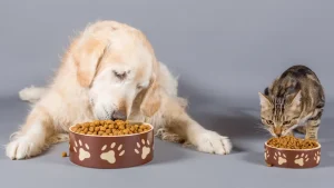 Pet Foods